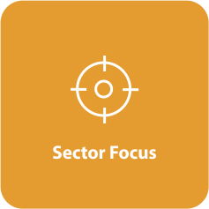 Sector Focus-2